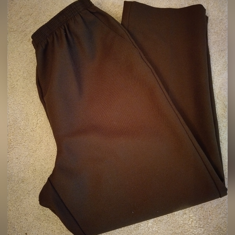 Women's Pull On Pants By ALFRED DUNNER